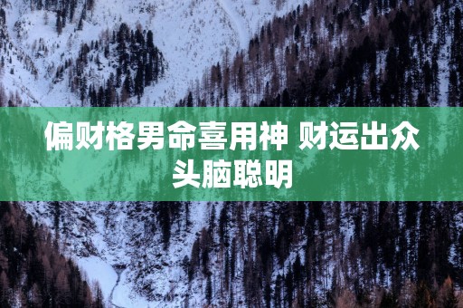 偏财格男命喜用神 财运出众头脑聪明