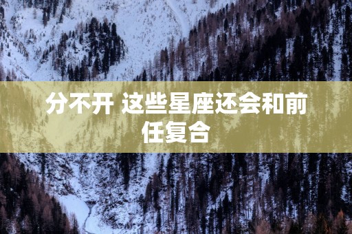 分不开 这些星座还会和前任复合