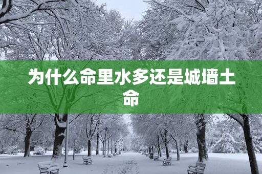 为什么命里水多还是城墙土命