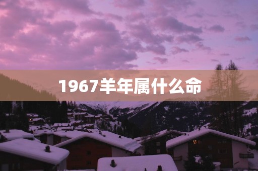 1967羊年属什么命