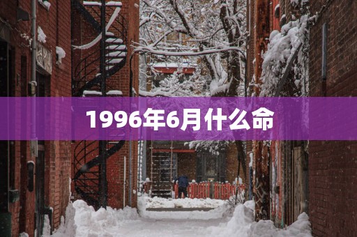 1996年6月什么命