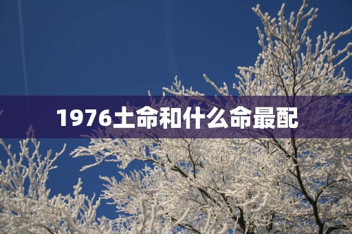 1976土命和什么命最配