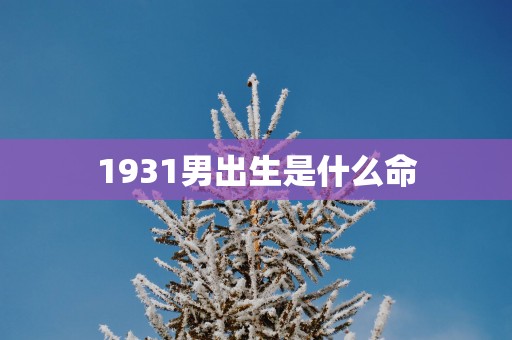 1931男出生是什么命