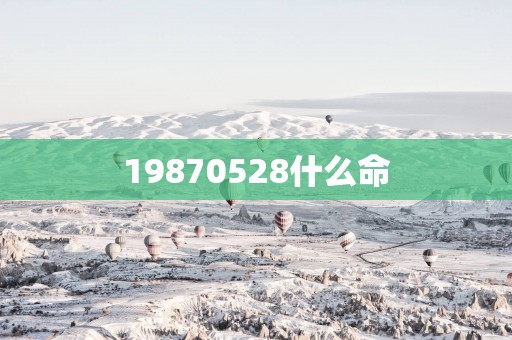 19870528什么命