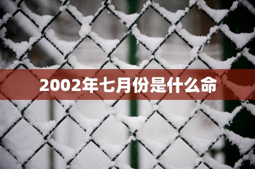 2002年七月份是什么命