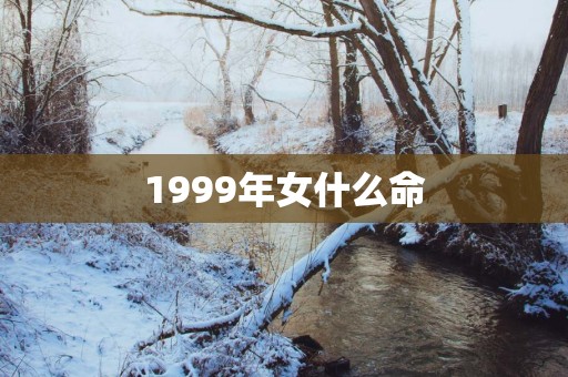 1999年女什么命