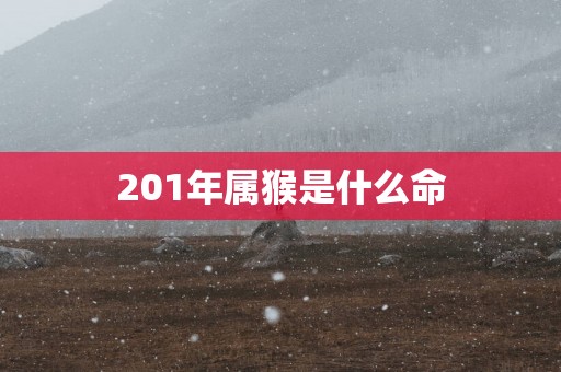 201年属猴是什么命