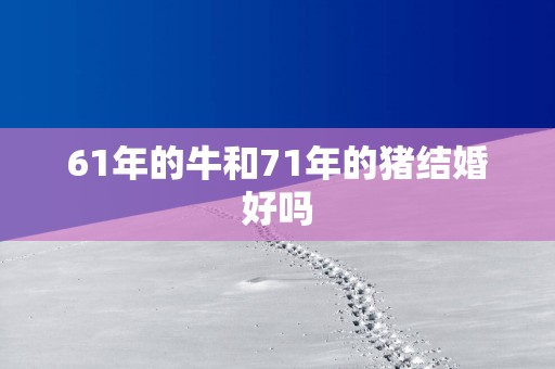 61年的牛和71年的猪结婚好吗