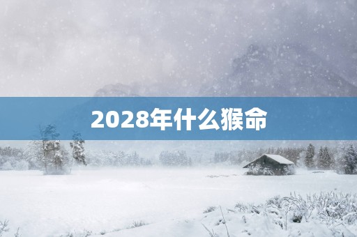 2028年什么猴命