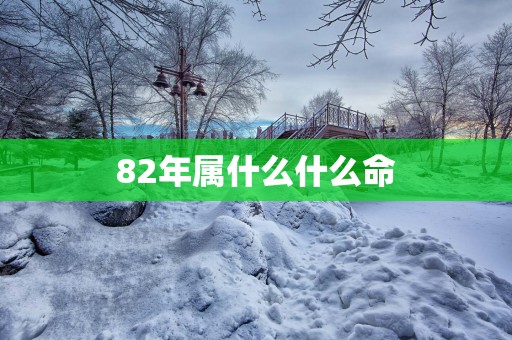 82年属什么什么命