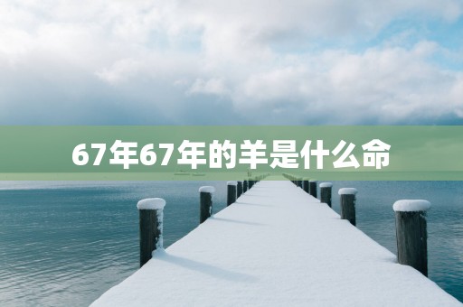 67年67年的羊是什么命