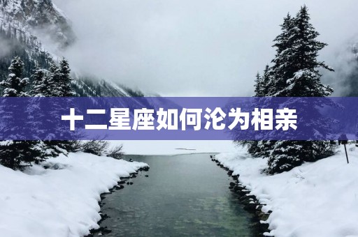 十二星座如何沦为相亲