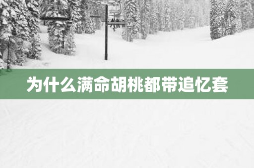 为什么满命胡桃都带追忆套