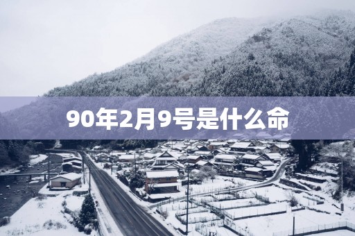 90年2月9号是什么命