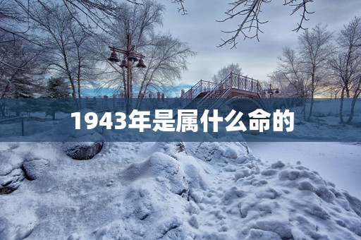 1943年是属什么命的