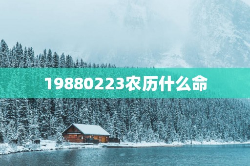 19880223农历什么命