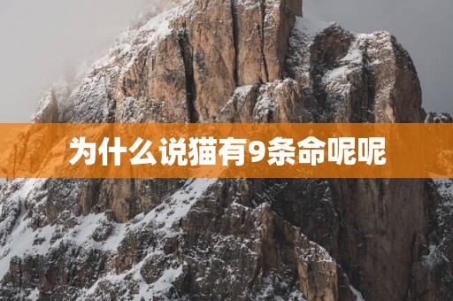 为什么说猫有9条命呢呢