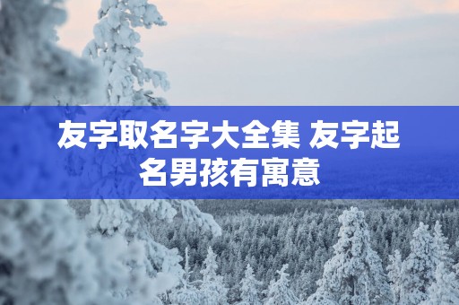 友字取名字大全集 友字起名男孩有寓意