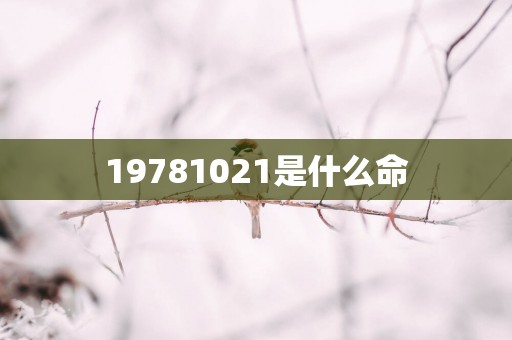 19781021是什么命