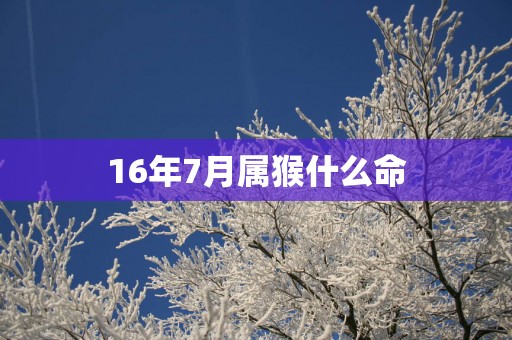 16年7月属猴什么命