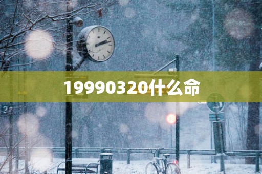 19990320什么命