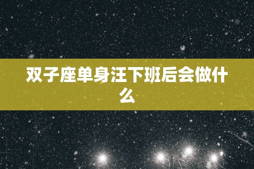 双子座单身汪下班后会做什么