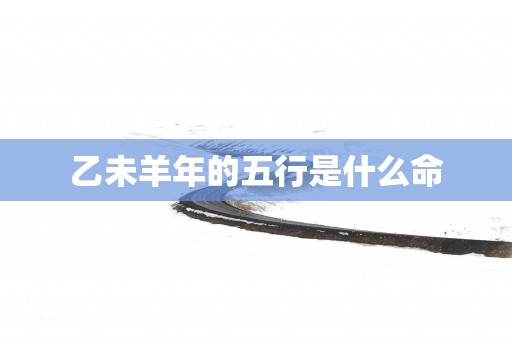 乙未羊年的五行是什么命
