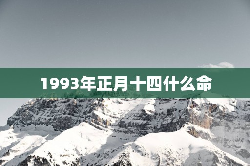 1993年正月十四什么命