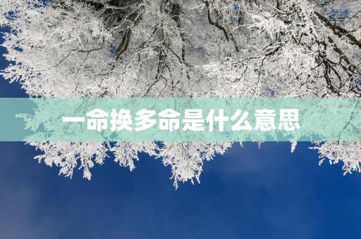 一命换多命是什么意思
