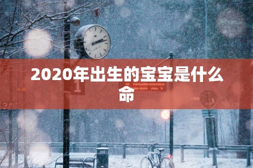 2025年出生的宝宝是什么命