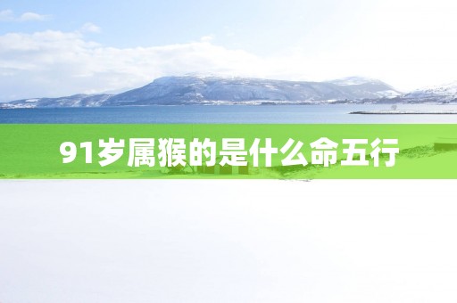 91岁属猴的是什么命五行