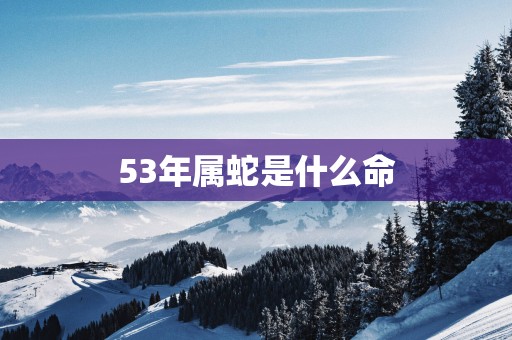 53年属蛇是什么命