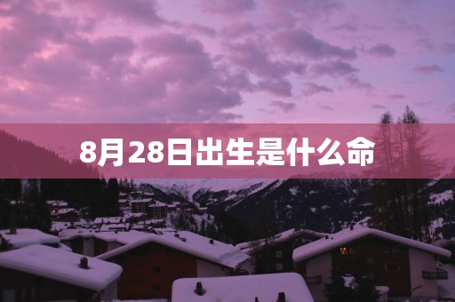 8月28日出生是什么命