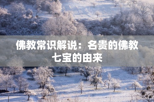 佛教常识解说：名贵的佛教七宝的由来