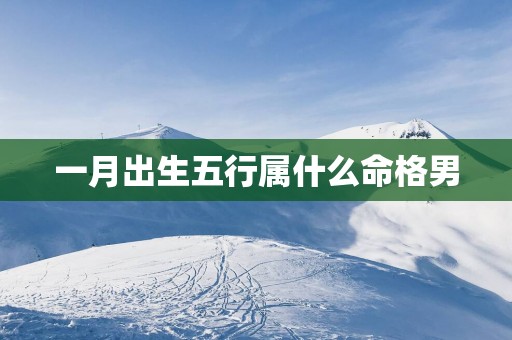 一月出生五行属什么命格男