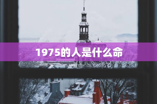 1975的人是什么命