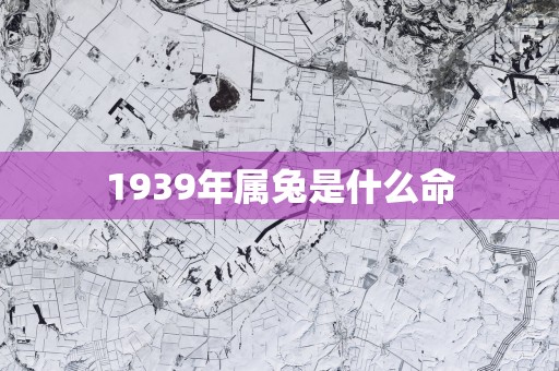 1939年属兔是什么命