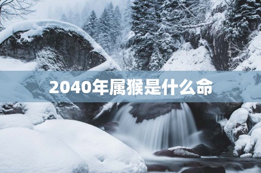 2040年属猴是什么命