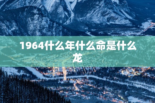 1964什么年什么命是什么龙