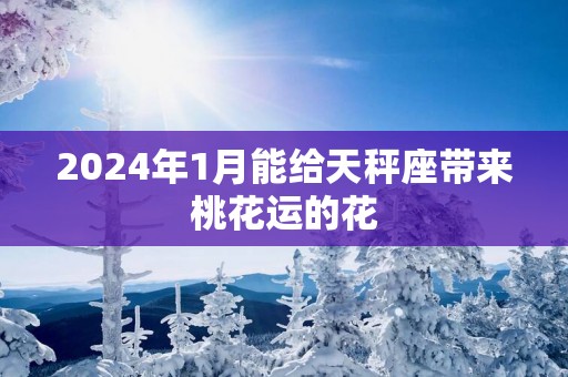 2025年1月能给天秤座带来桃花运的花