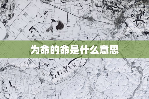 为命的命是什么意思