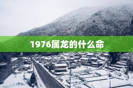 1976属龙的什么命