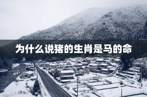 为什么说猪的生肖是马的命