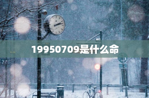 19950709是什么命