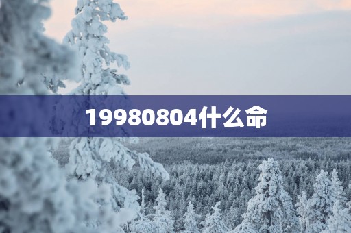 19980804什么命