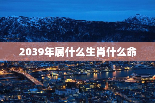 2039年属什么生肖什么命