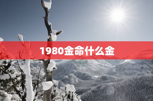1980金命什么金