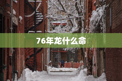 76年龙什么命