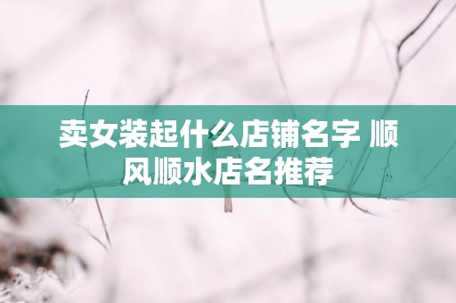 卖女装起什么店铺名字 顺风顺水店名推荐