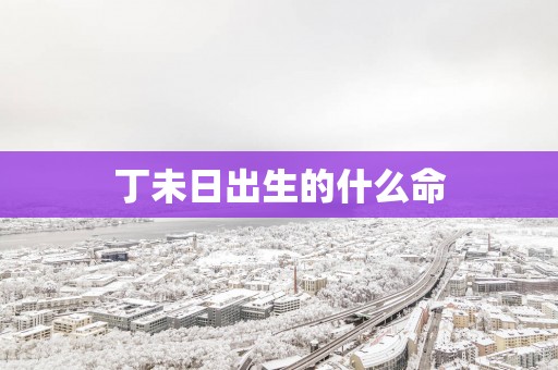 丁未日出生的什么命